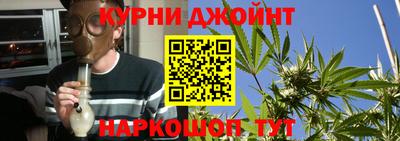 сатива Краснокаменск