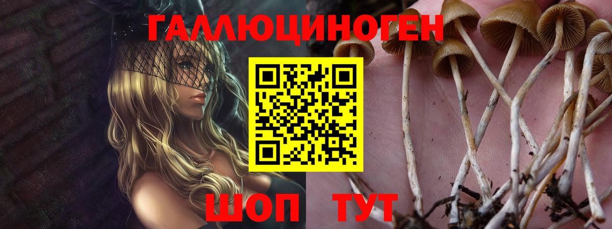 Камышлов  Галлюциногенные грибы прущие грибы  Вход с VPN  Галлюциногенные грибы Cubensis 
