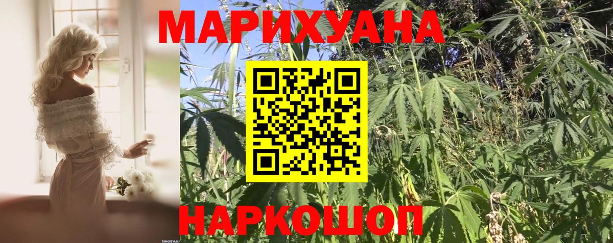 Камышлов  Конопля конопля  Бошки марихуана LSD WEED  Каннабис VHQ  Вход с VPN  МАРИХУАНА конопля 